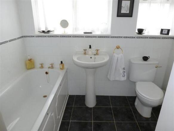 Photo 10