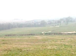Views Towards M1