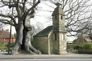 Image of Lingfield V