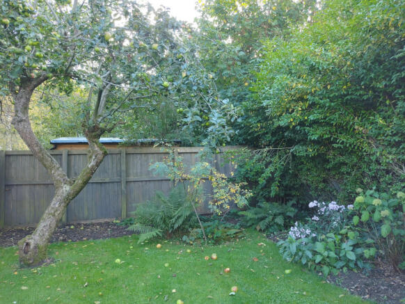 Photo 15