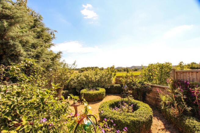 Garden at Back
