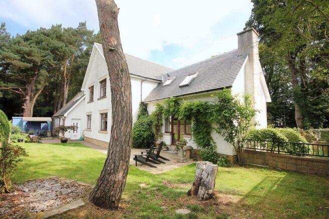 Rear of Property