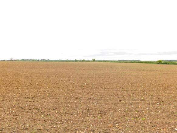 FIELD VIEW .JPG