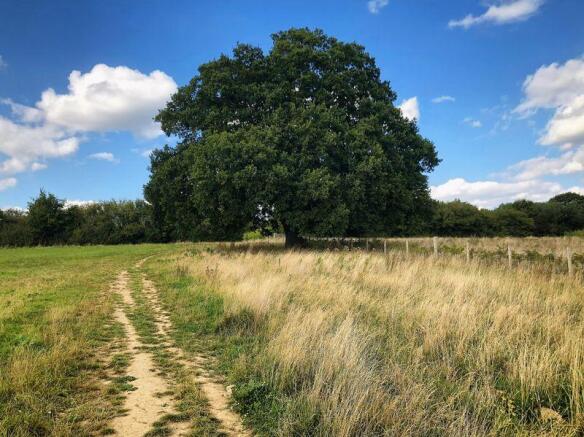 Manor Farm