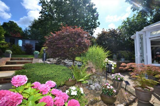 NEW GARDEN 4 .JPG
