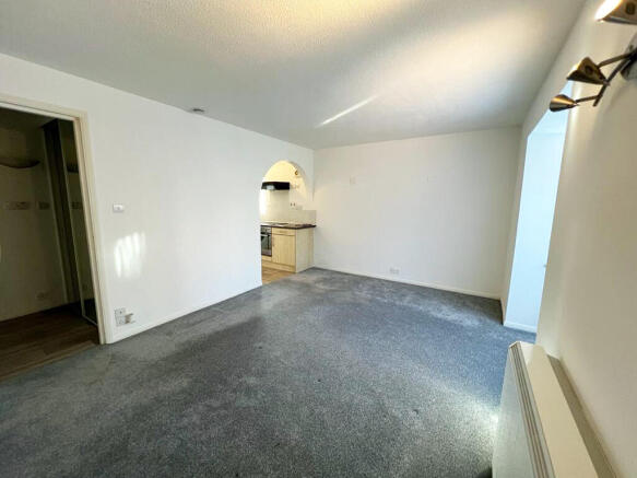Living Room/Bedroom