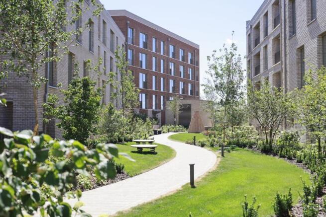 Residents Courtyard Garden at Fusion, Knights