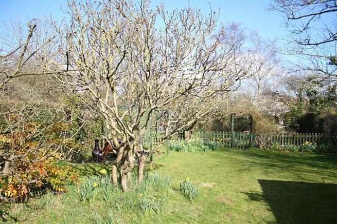 garden.jpg