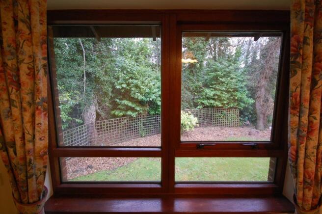 Living Room Window