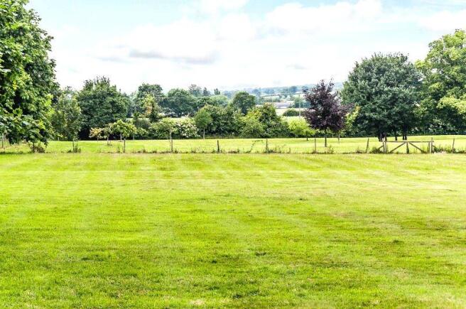 Paddock & View