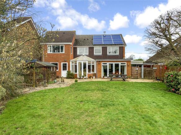 Rear