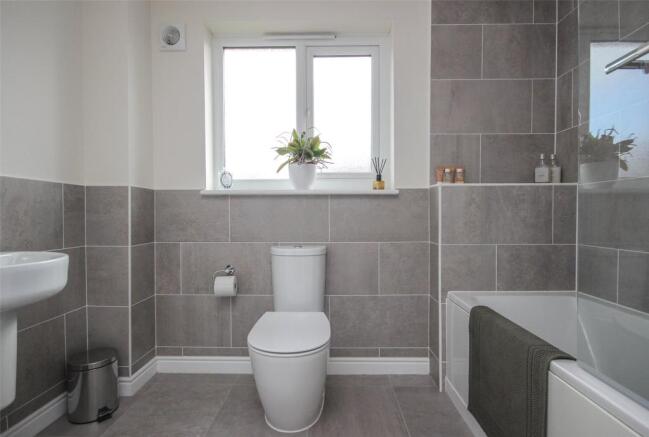 Picture 15