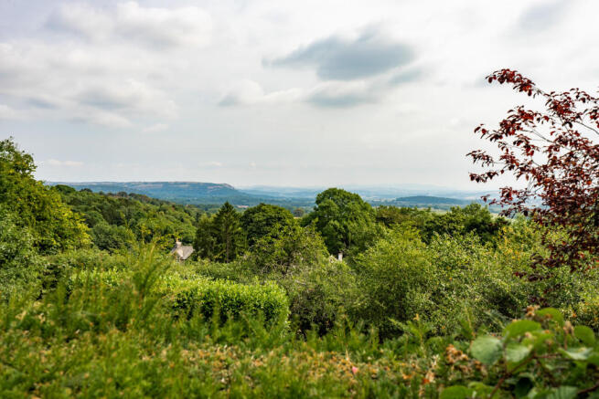 View from Garden