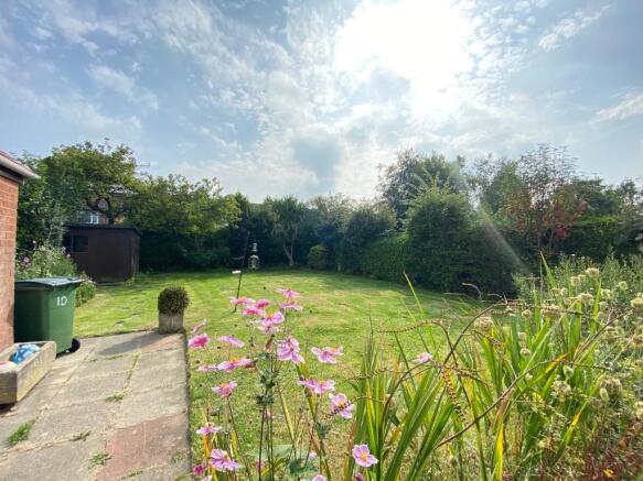 Back Garden