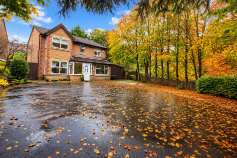 Dominica Avenue, Lower Darwen