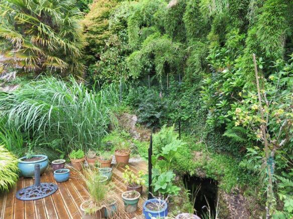 Deck and Well