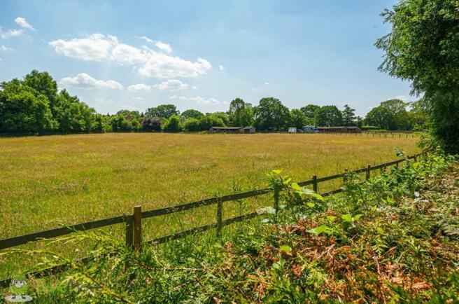 View from Property at Back