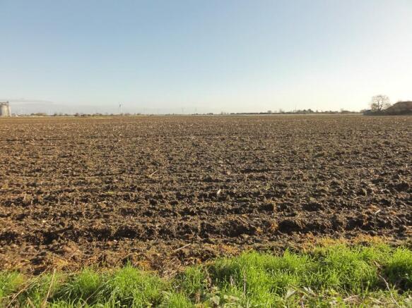 View over fields