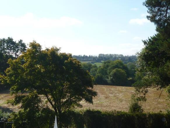 Image 15