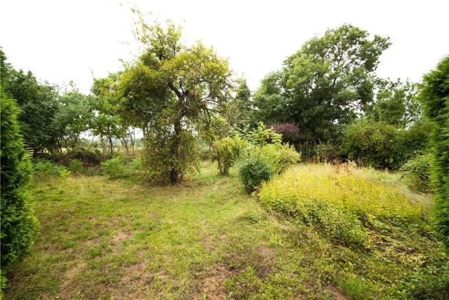 07 Garden