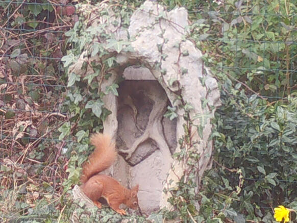 Photo 45