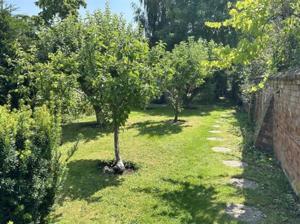 orchard