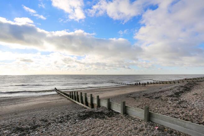 Beach At The Rear