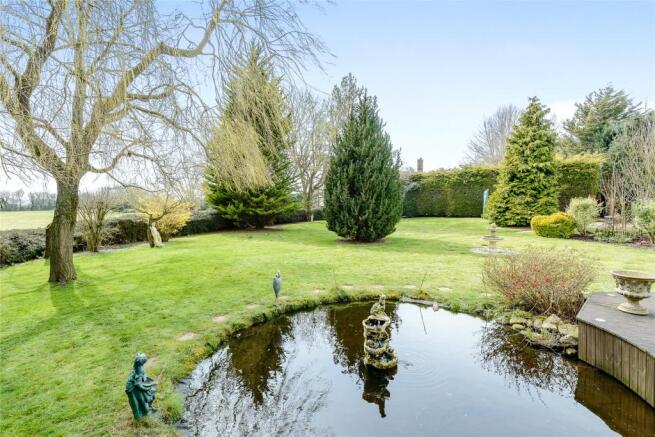 Garden and Pond