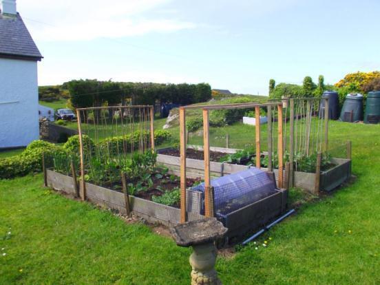 Vegetable Patch