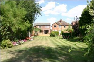 Rear of Property