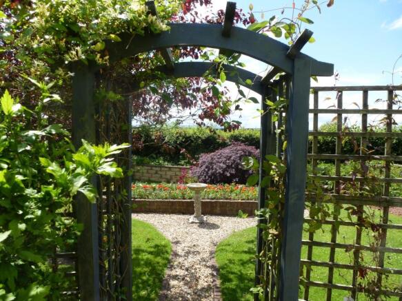 Back Garden
