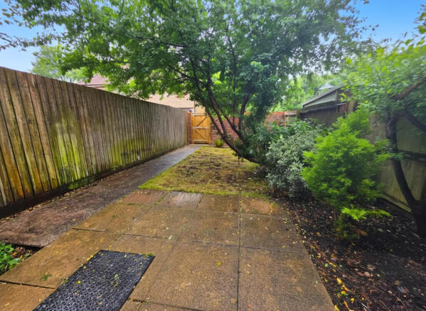 garden
