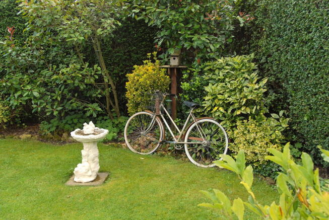 Photo 13