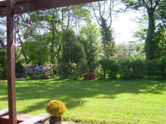 Rear of Property