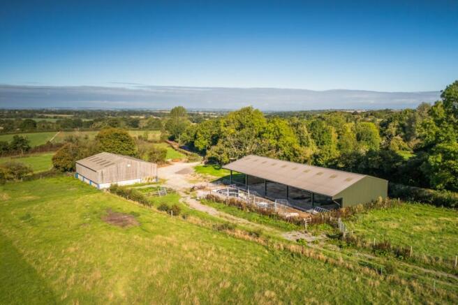 Picture No. 03