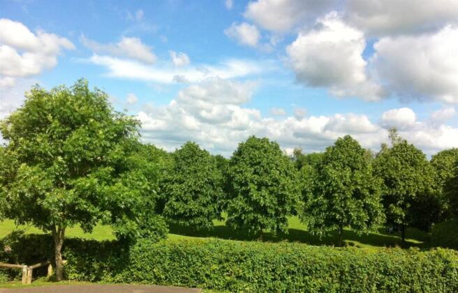 View to Green