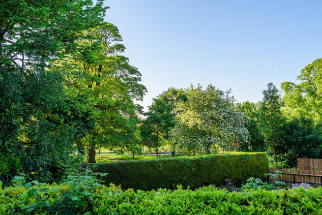 Park Views