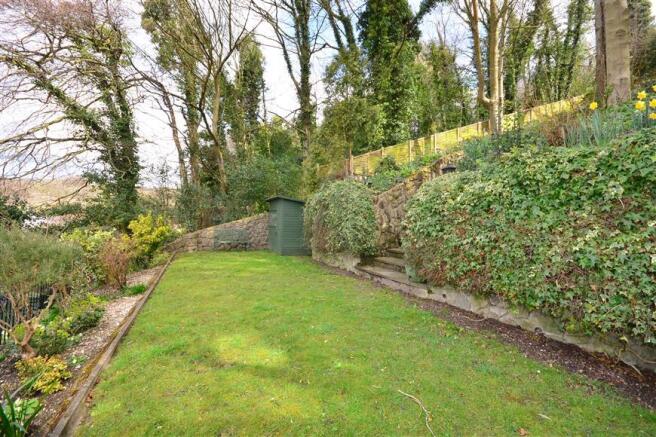 Rear Garden (Original)