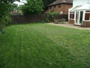 garden2