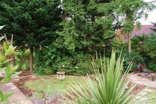 Photo 10