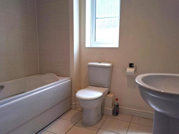 Picture 11