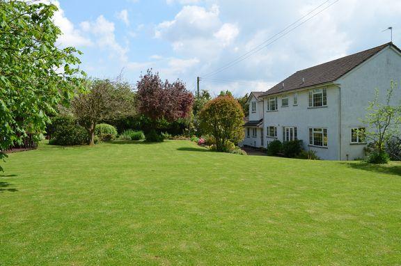 Lawn garden