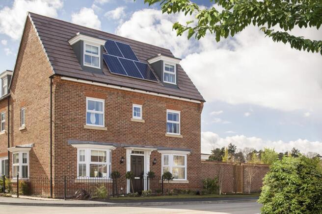 show home
