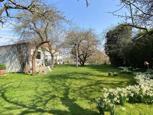 Rear Garden 5