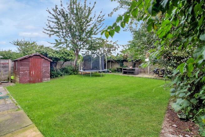 Garden at Back