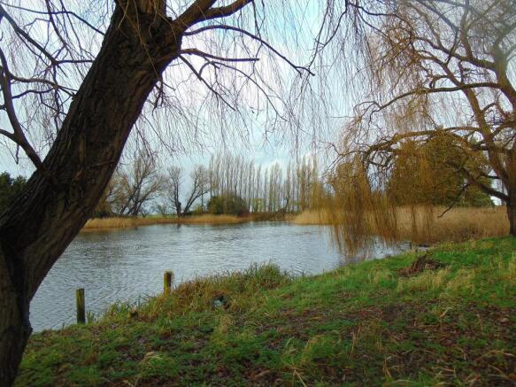 Photo 29