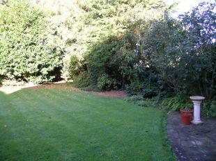 Rear garden 1
