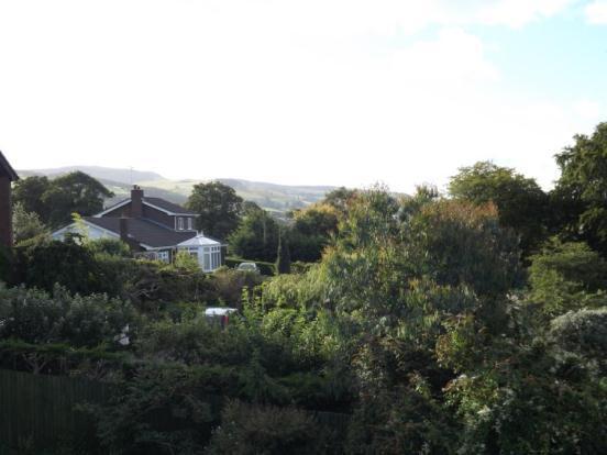 View 4