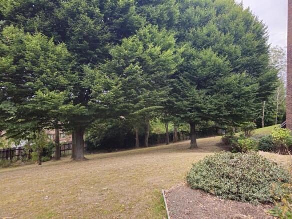 1 bed Ground Flat to rent Image 8
