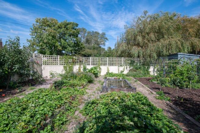 Vegetable Garden